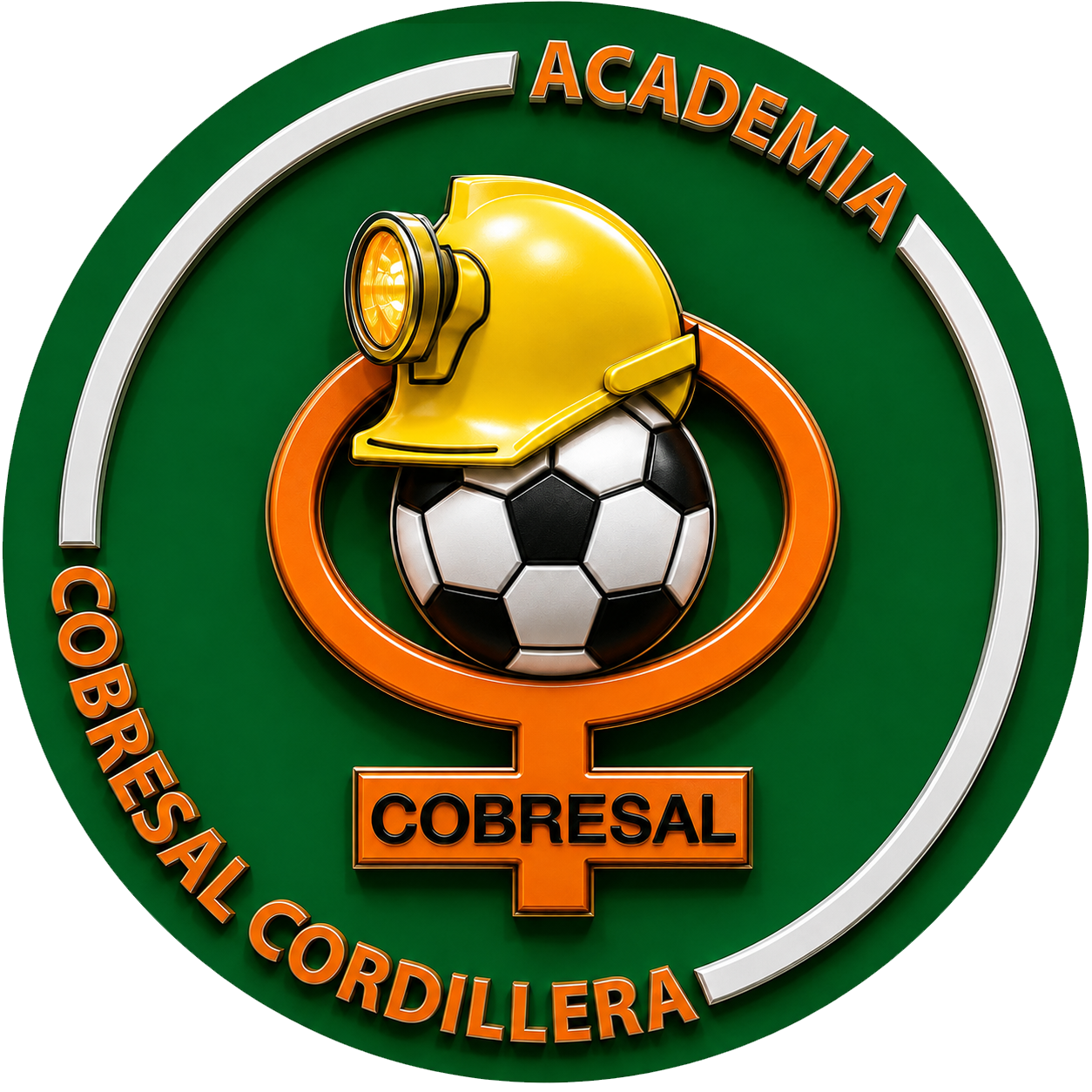 Logo de la academia